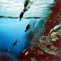 Diving Birds