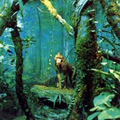 Mandrill 