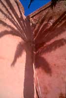 Amira Walls 1