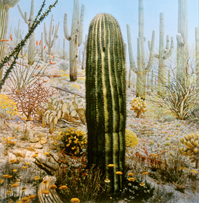 Cactus