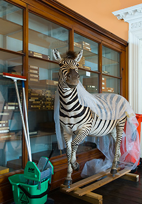 Museum Interior Dublin