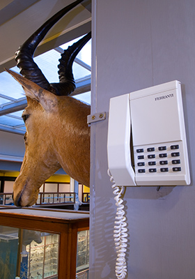 Museum Interior Dublin